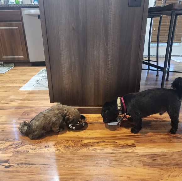 Meet your Posher, Karina - Picture 6 of 9